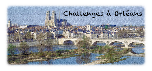 Challenges à Orléans