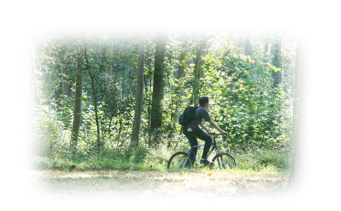 Vélo en forêt