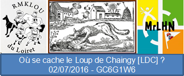 Où se cache le loup de Chaingy ?